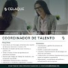 Coordinador de Talento - Tegucigalpa