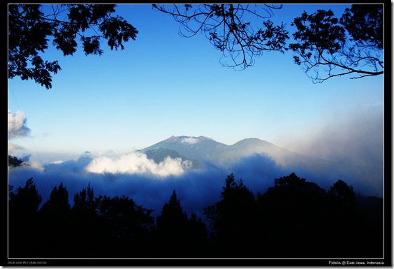 ijen7