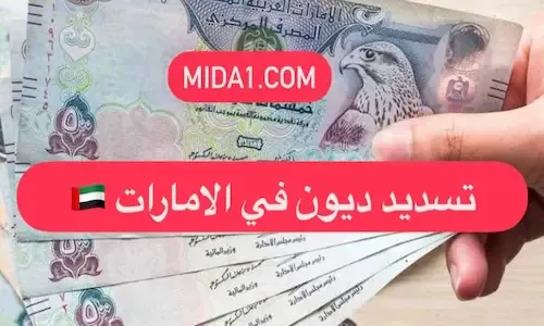 تقديم طلب سداد الديون في الإمارات