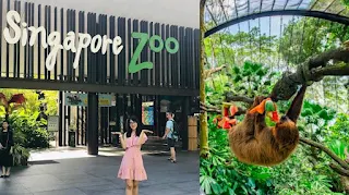 Singapore zoo