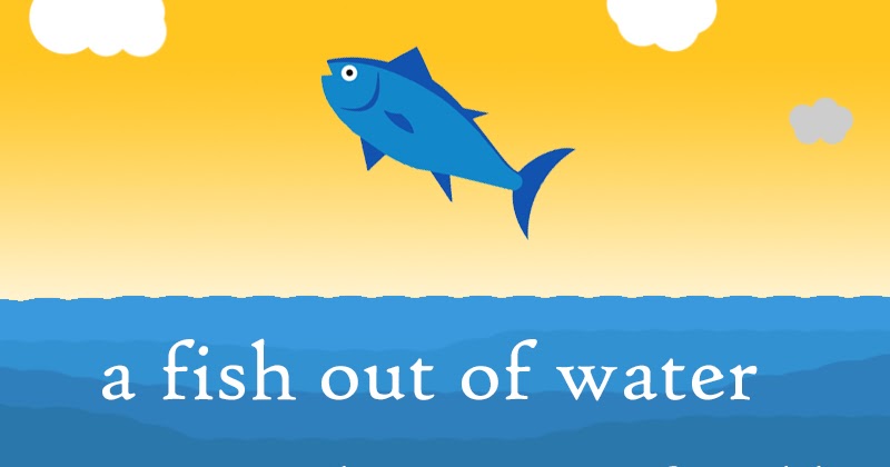 A Fish Out Of Water