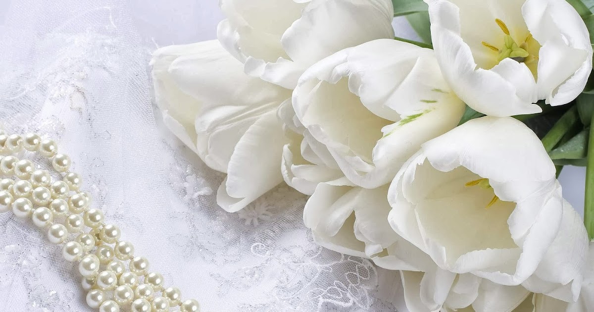 Gambar Rangkaian Bunga Mawar Putih Cantik : Kumpulan 