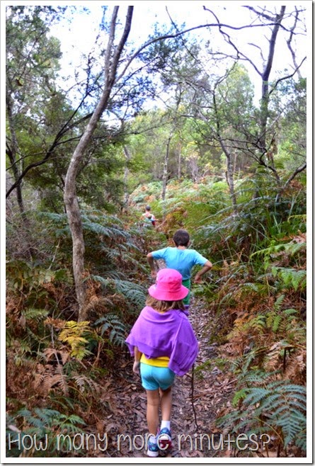 How Many More Minutes? ~ Fishers Point Walk, Tasmania, part one