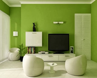 green and white combination colour desain for livingroom