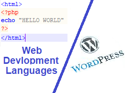  Why should I learn html, css, php as I can make a website in Wordpress without touching any codes?