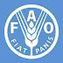 National Lead Consultant New Job at Food and Agriculture Organization (FAO) | Deadline: 30th July, 2019