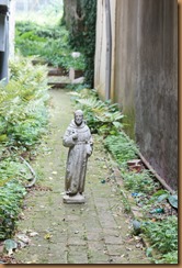 DSC05956