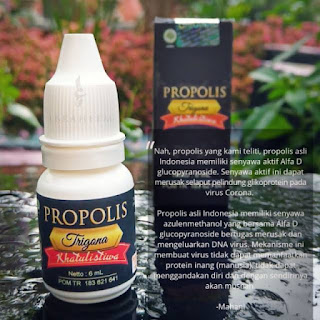 Propolis Trigona Khatulistiwa | Harga, Manfaat dan Cara Pemesanan