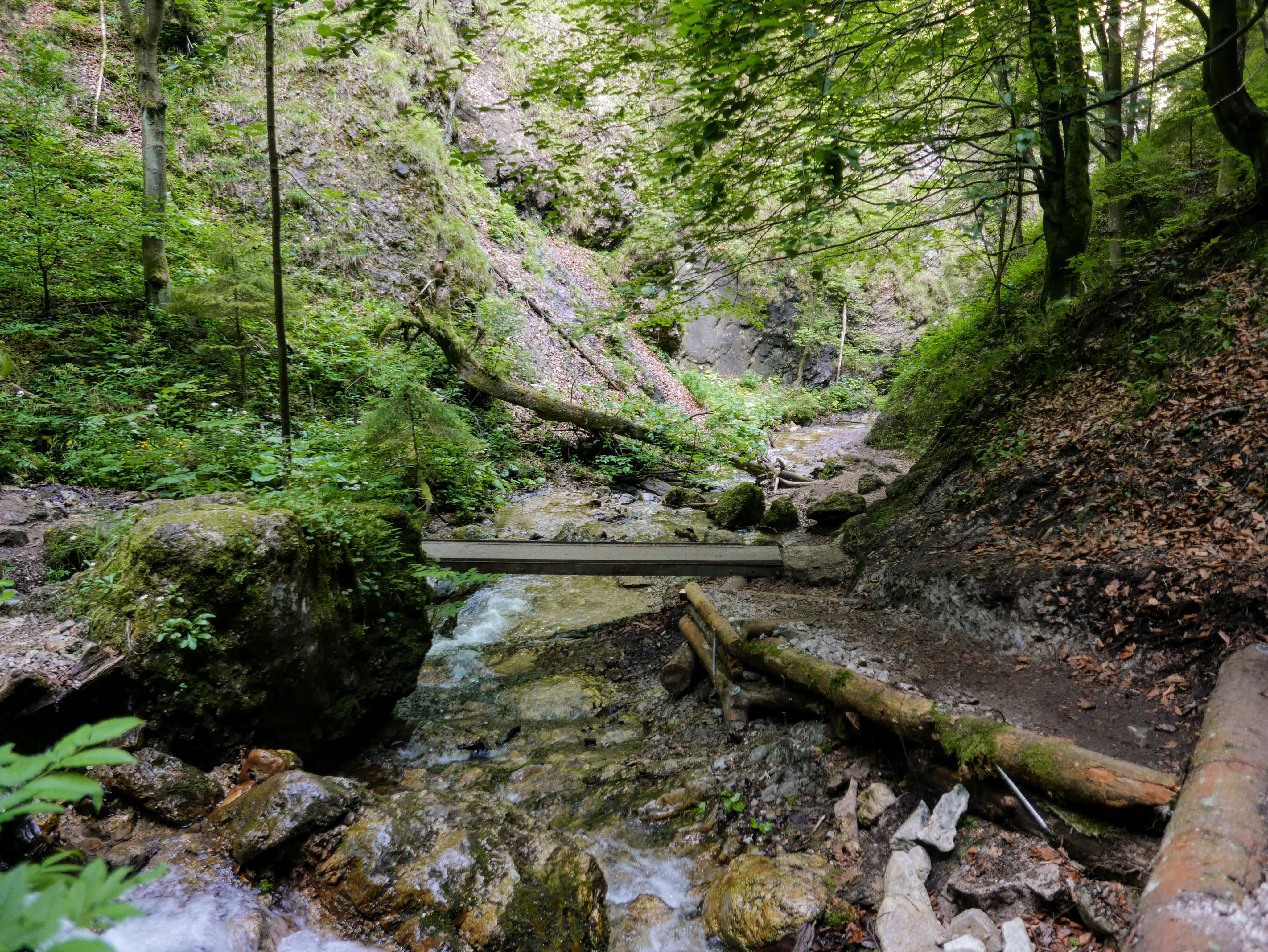 Mała Fatra. Narodowy Park Mała Fatra. Diery Słowacja.