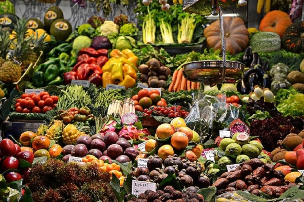 The Rise of Plant-Based Diets: Exploring the Health and Environmental Benefits