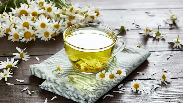 Chamomile ..فوائد البابونج للصدر والبلغم وطريقة الاستخدام.