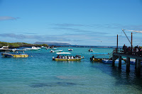 Галапагосские острова - Пуэрто-Вильямиль