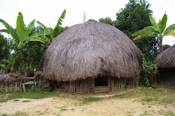 Gambaran Rumah Adat Papua