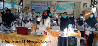 Visitasi Daring Pilot Project Akreditasi 2020 di SDN Parapat 1