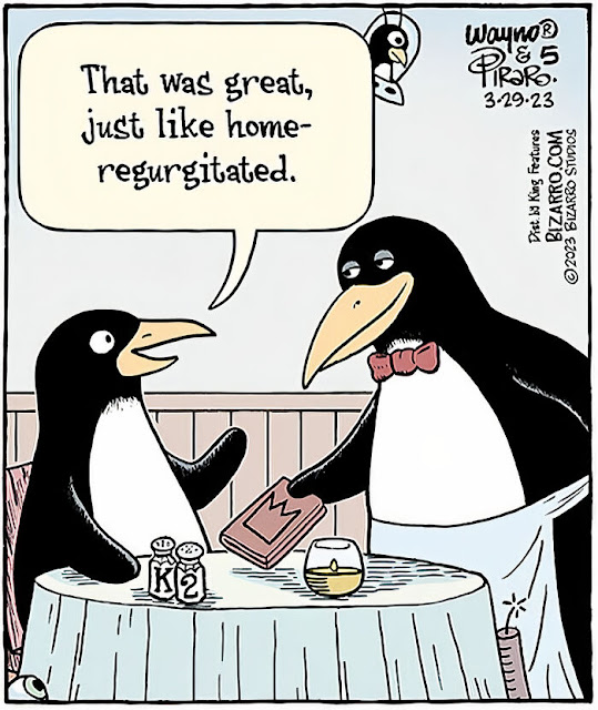 Humor Side Comics