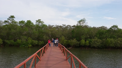 Marove merupakan tanaman rawa yang tumbuh ditepi sungai yang tujuanya untuk menahan abrasi namun selain  itu tanaman mangrove dijadikan sebagi obyek wisata yang tak kalah indah dan menarik karena letaknya di dekat muara sungai dan lautan apalagi jika pada sore harinya keindahan semakin terlihat jelas saat  sinar sunset  yang menyinari Air muara sungai.