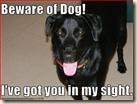 beware