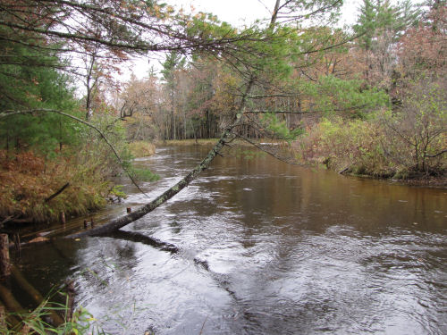 South Branch Pere Marquette River