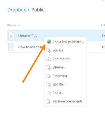 copia-link-pubblico