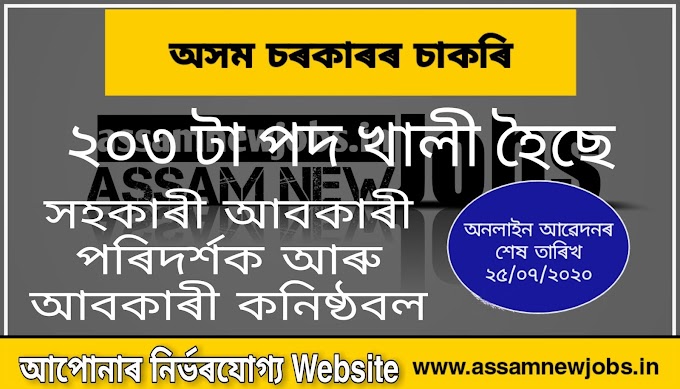 Excise Department of Assam Recruitment 2020 : Apply for Online 203 Posts