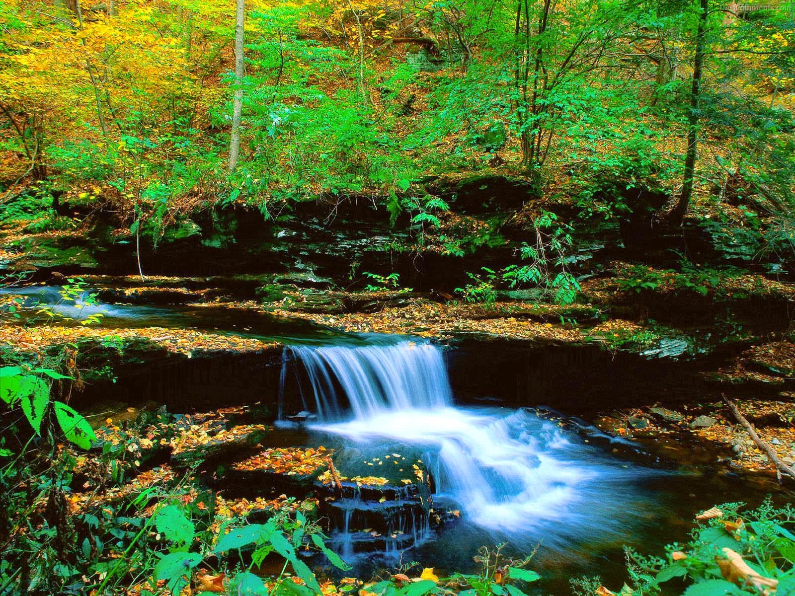 Beautiful Waterfalls HD Wallpapers Free Download