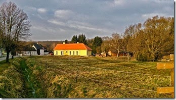 DSC_3921_re