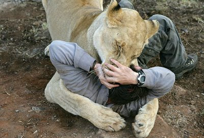 kevin richardson animal trainer