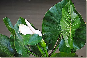 085