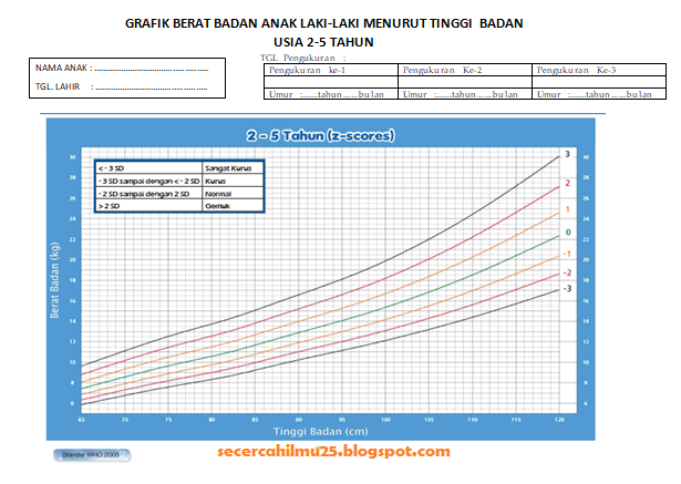 Dokumen Analisis Pencapaian Pertumbuhan Semua Anak untuk pengisian SISPENA 2.0 PAUD PNF