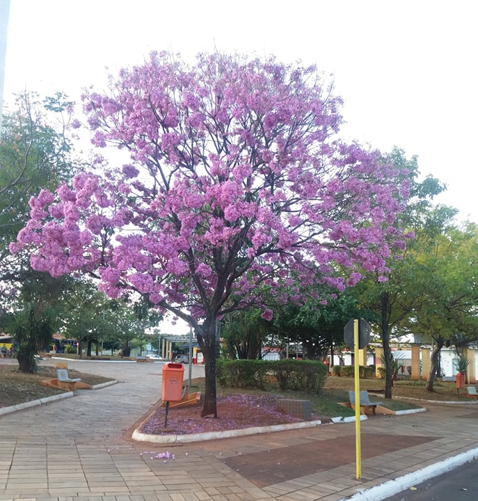 Praça Edgard Ájax - Rifaina/SP