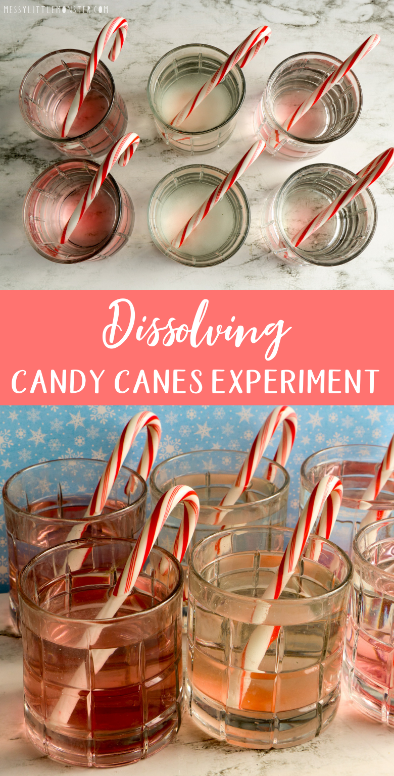 Dissolving candy canes experiment. Christmas candy cane science experiment for kids.