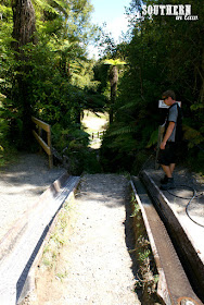 4WD Self Drive Safari Experience at Offroad NZ - Rotorua New Zealand Adrenaline Adventures Travel Review