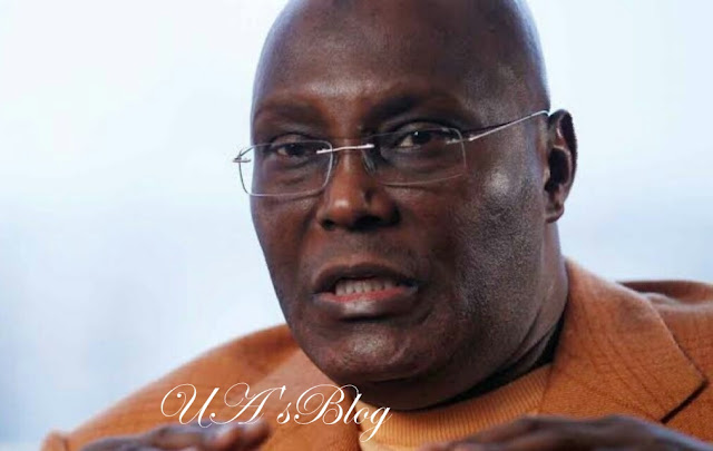 2023: Desist from jaded aproko pettiness – Atiku fires back at Oby Ezekwesili