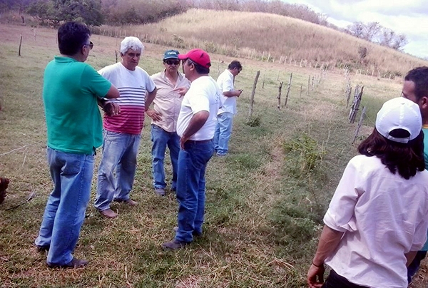 Agricultores de Cocal participam de Dia de Campo
