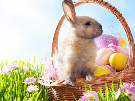 Happy Easter download besplatne pozadine za desktop 1152x864 e-card čestitke Uskrs