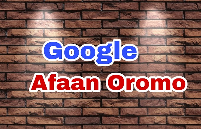 Let's Go Share Afaan Oromo to Google translate English