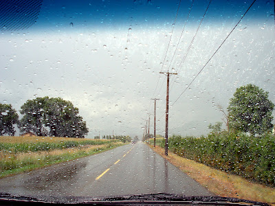rain_drive_tips