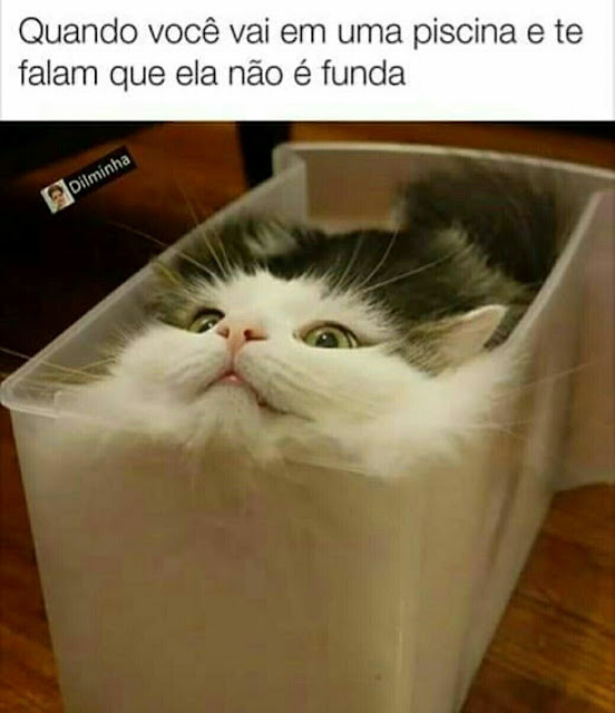 Memes engraçados 