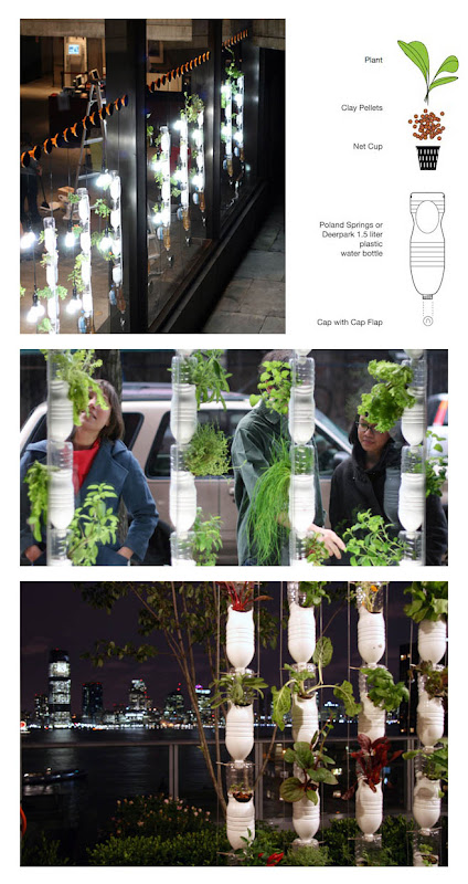 Vertical Garden By Plastic Bottle 