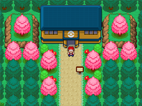 Pokemon Astra Adventures Screenshot 03