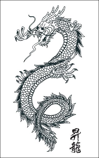 girl with dragon tattoo hairstyle. Japanese Dragon Tattoo Design