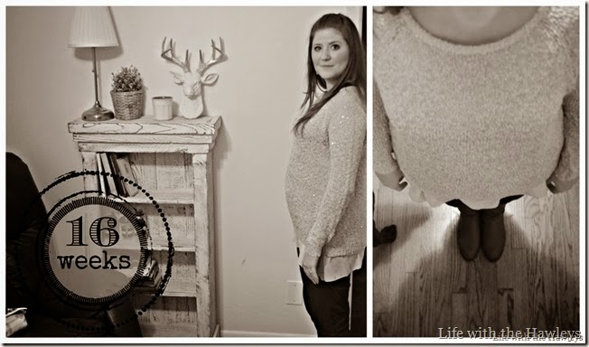 16 week collage[3]