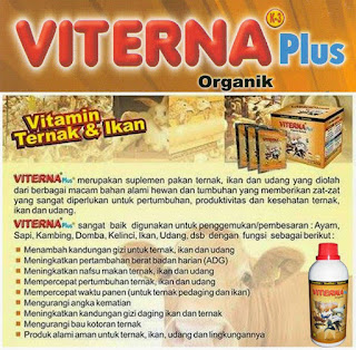 jual vitamin lele