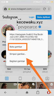 Cara melihat foto profil di ig