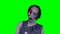 A photo of a person in zombie make-up against a green screen background.