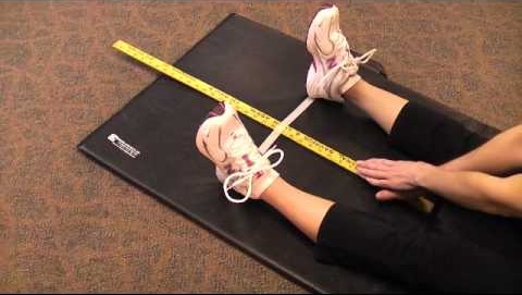 Trunk Flexion Test