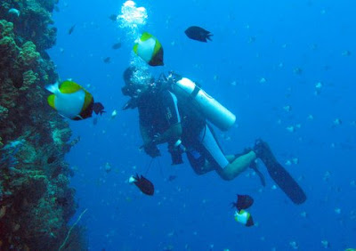 diving in Bunaken