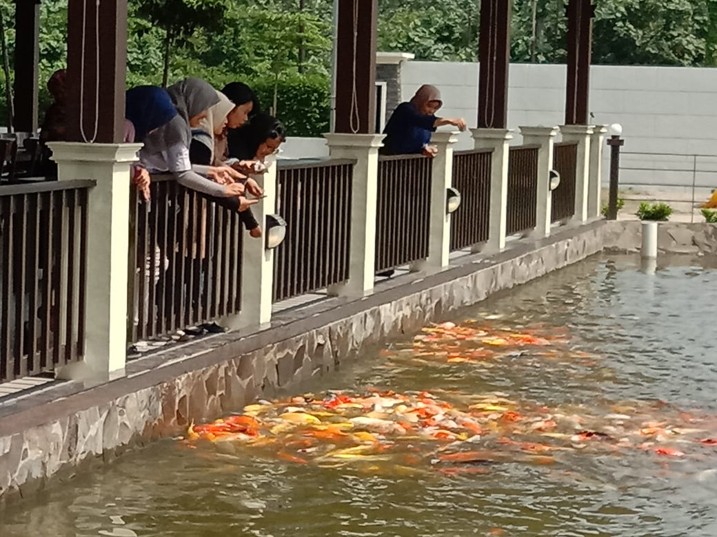 Kolam Ikan Koi Jadi Daya Tarik Restoran Kembang Perempuan Kopi