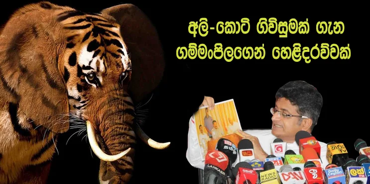 https://www.gossiplankanews.com/2018/12/gammanpila-elephant-tiger.html#more