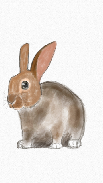 How to draw Rabbit on your mobile phone?